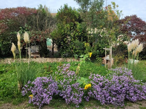 Gite 15 pers. former abbey farmhouse, animals live on site