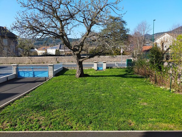 Unclassified image, 1 of 11, button