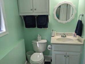 Shower, hair dryer, towels, soap - Delightful 2-bedroom apartment walking distance to UGA stadiums and Five Points (Athens)