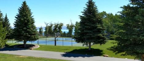 Sports court