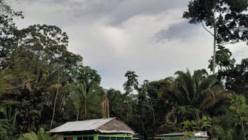 Comfort Double Room, Garden View