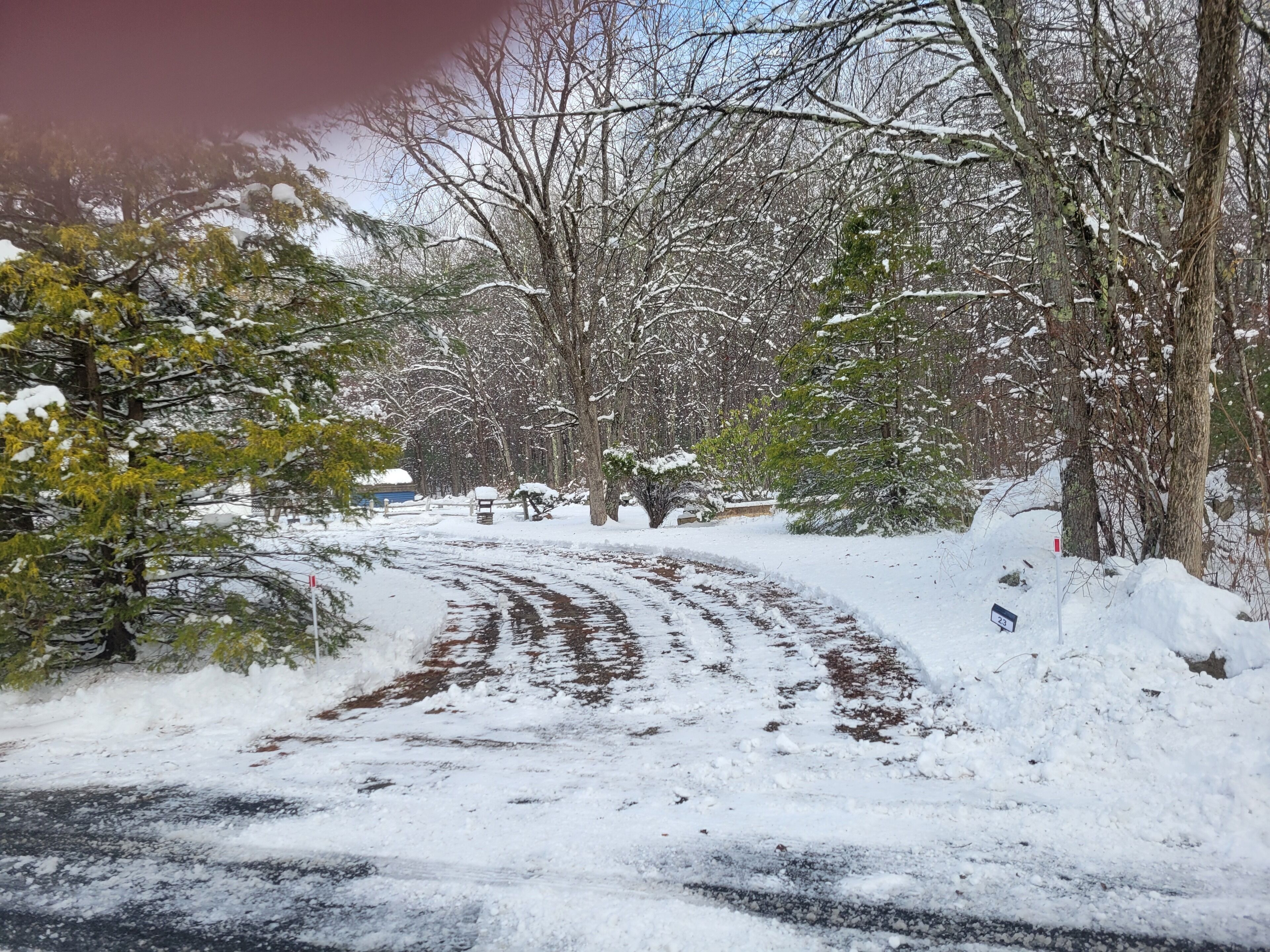 A snow-covered road with trees on either side.