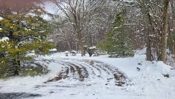 A snow-covered road with trees on either side.