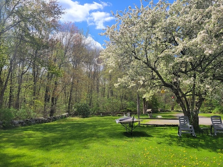 Property grounds. Little House Inn - Private Home - Secluded - Ware - 2 bedroom, sleeps 6