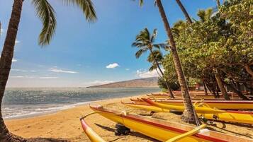 A beach with yellow canoes lined up and palm trees.