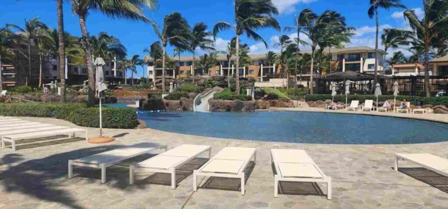 A resort pool area with lounge chairs, palm trees, and a waterfall.