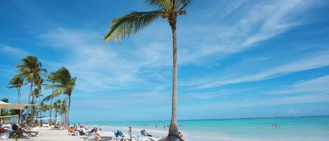 Plage à proximité, chaises longues, serviettes de plage