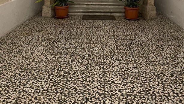 A grand hallway with a tiled floor, two potted plants, and a staircase leading to an upper level. - Marini Palace (Spoleto)