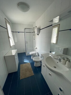 Shower, hair dryer, bidet, towels