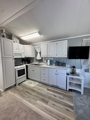 Microondas, horno, parrilla de estufa y lavavajillas 