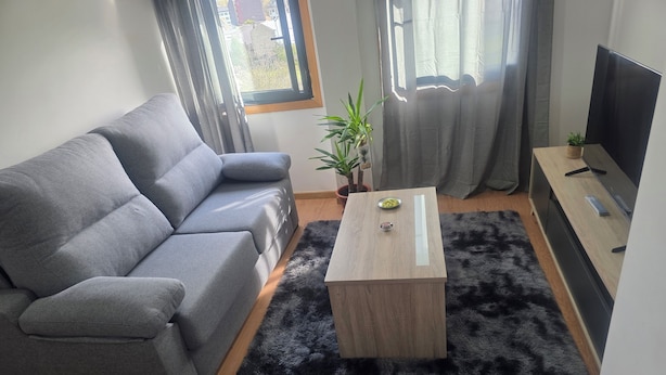 Uma sala de estar moderna com um sofá cinzento, uma mesa de centro de madeira, um tapete preto e fofo, uma pequena planta e uma televisão sobre um suporte de madeira.