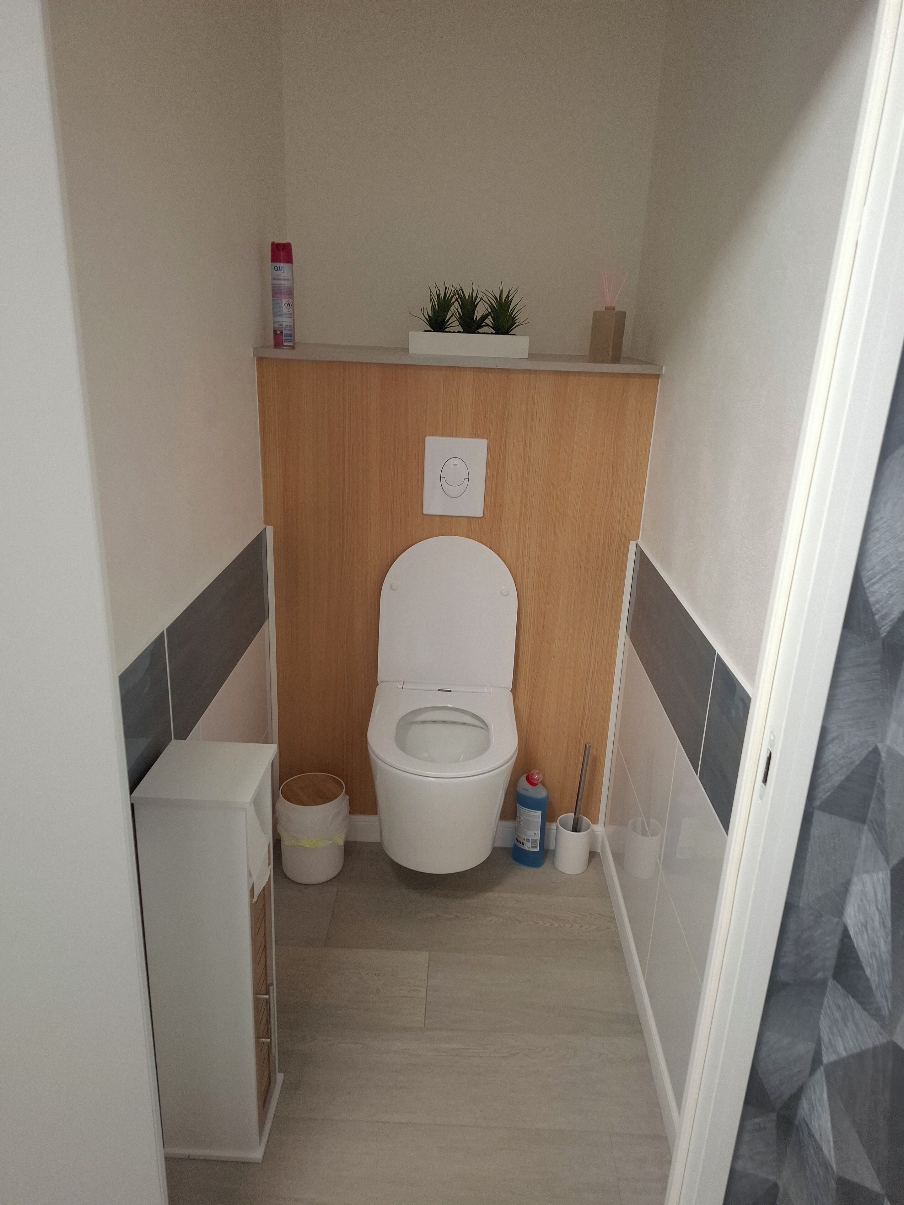 Een kleine badkamer met een wit toilet, een klein kastje, een prullenbak en een toiletborstel.