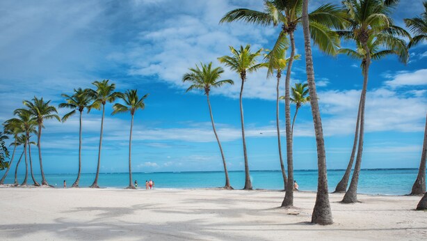 A beach with tall palm trees and a clear blue sky. - Elegant 2BR Apartment in Cap Cana with Private Jacuzzi Balcony & Pool Access (Punta Cana, Cap Cana)