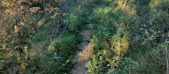 Newly built holiday home with a fjord view