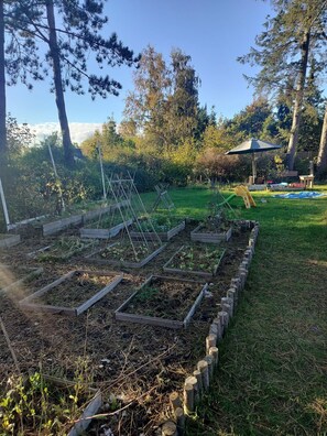 A garden with raised beds, a wooden fence, and a wooden play structure.
