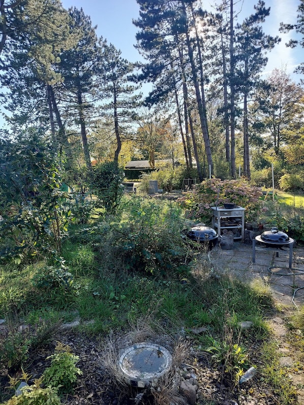 A forested outdoor area with a barbecue grill, a stone table, and a small pond.