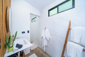 Shower, hair dryer, towels