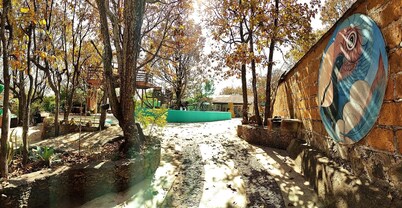 El Encinal de las Flores