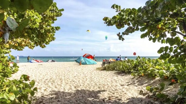 Une plage avec des tentes et des gens, des arbres et un ciel dégagé.