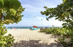 A beach with tents and people, trees, and a clear sky. - Steps from the beach (Pompano Beach)
