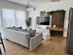 Televisión