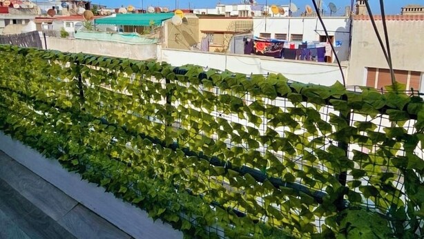 A rooftop garden with a metal fence and a clear blue sky in the background. - Studio downtown Rabat terrace (Rabat)