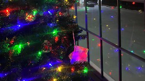 A Christmas tree decorated with multicolored lights in front of a building with large windows. - Allegory Inn (Carroll)