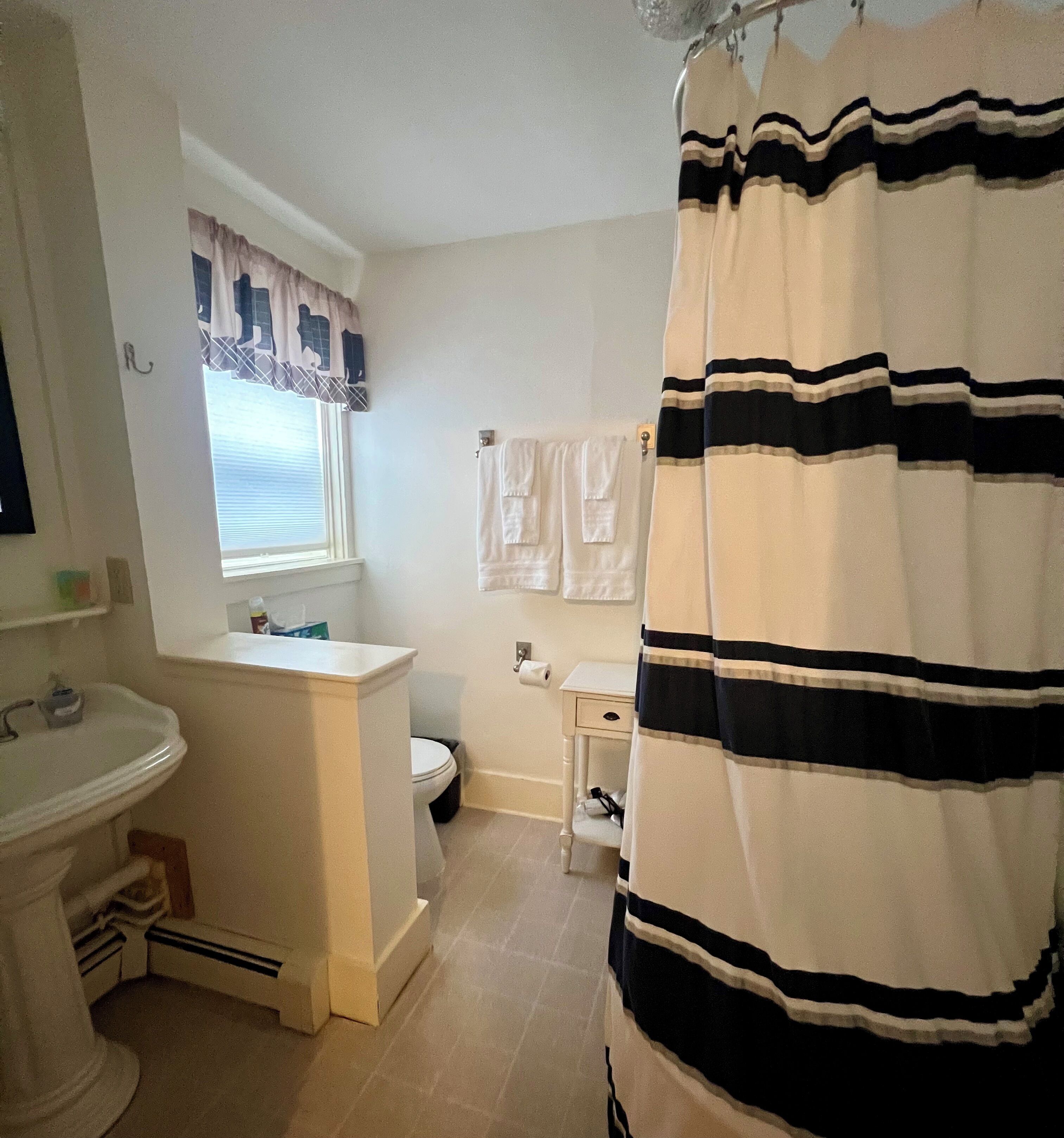 A bathroom with a sink, toilet, and shower curtain.