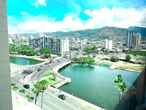 Vista desde la propiedad