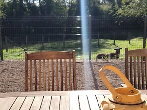 Property grounds - Le Thiellet - SAINT USUGE (SAINT USUGE)