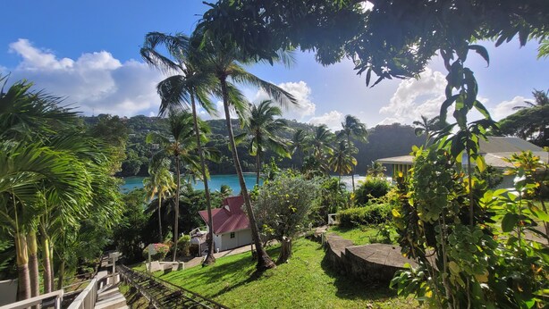 A lush garden with palm trees, a small house with a red roof, and a view of the ocean.