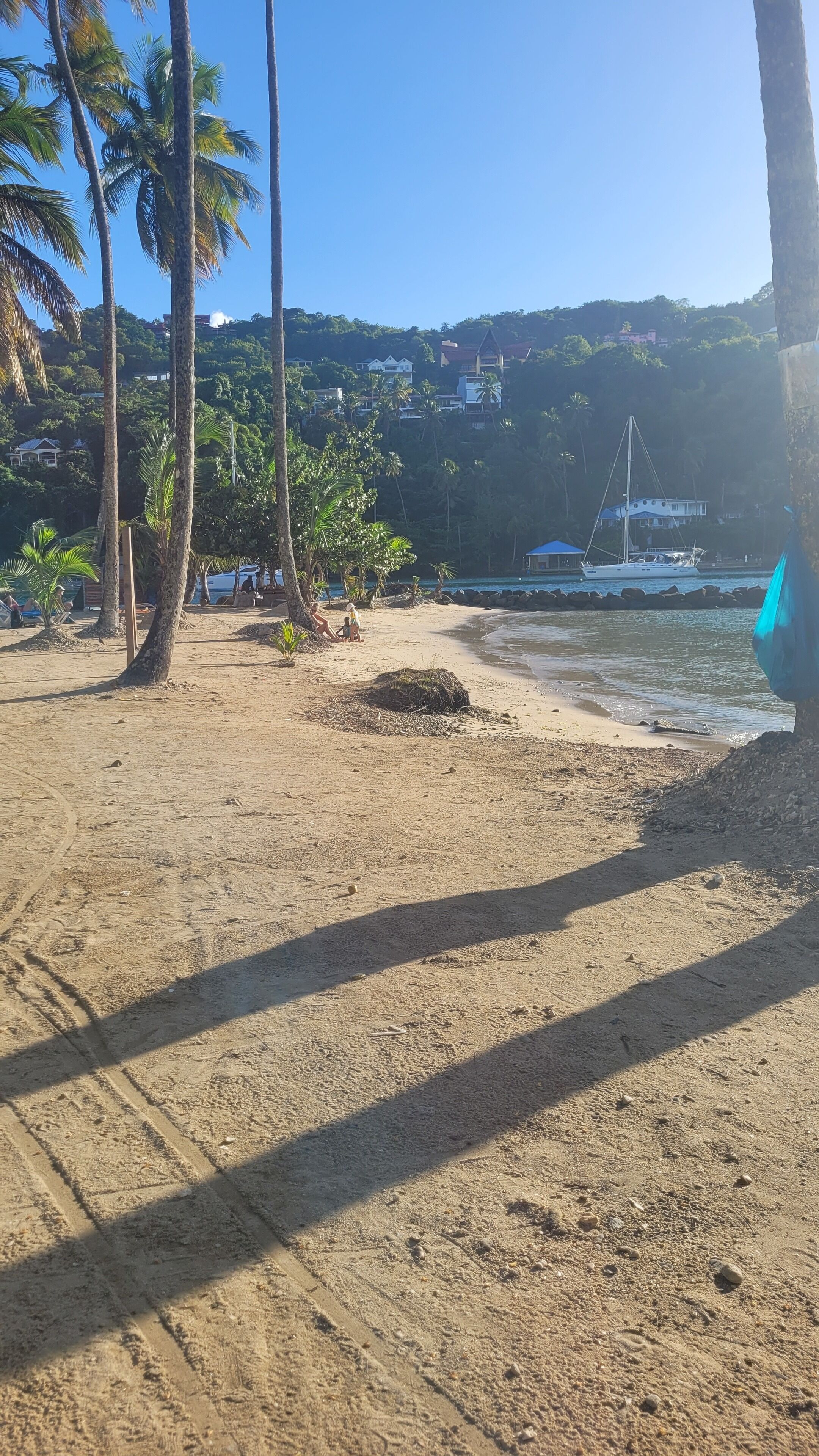 Ein Strand mit Palmen, einem Boot und Häusern im Hintergrund.