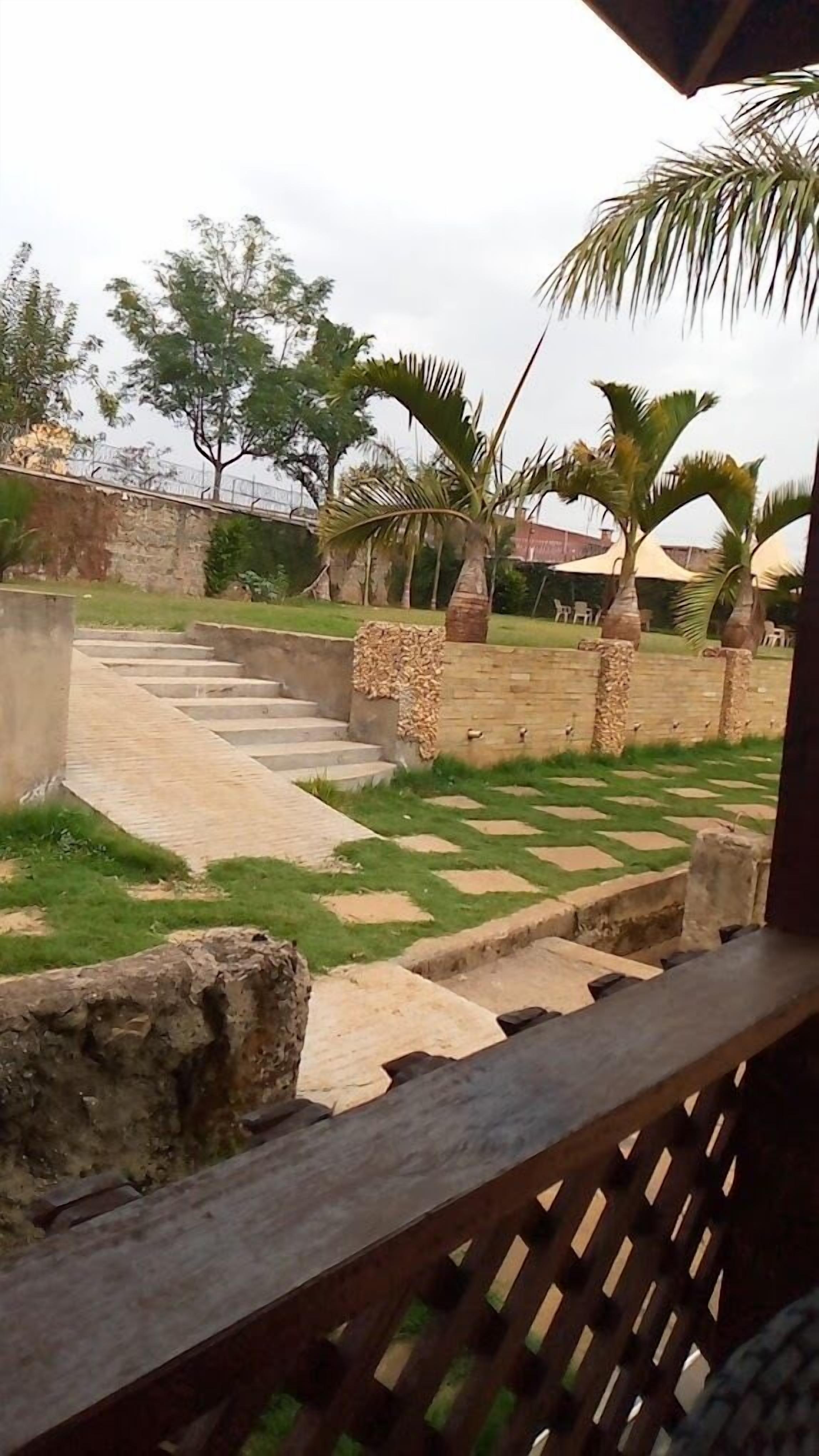 A paved outdoor area with steps leading to a grassy lawn, surrounded by palm trees and a stone wall.