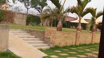 A paved outdoor area with steps leading to a grassy lawn, surrounded by palm trees and a stone wall.