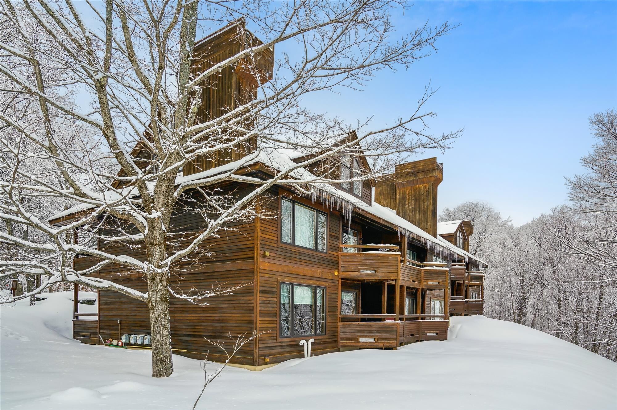 Une cabane en bois dotée d’une grande véranda et de nombreuses fenêtres, entourée d’arbres couverts de neige.