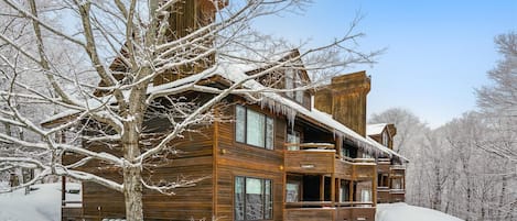 Una cabaña de madera con un amplio porche y numerosas ventanas, rodeada de árboles cubiertos de nieve.