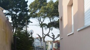 Un estrecho sendero pavimentado bordeado por edificios y árboles.