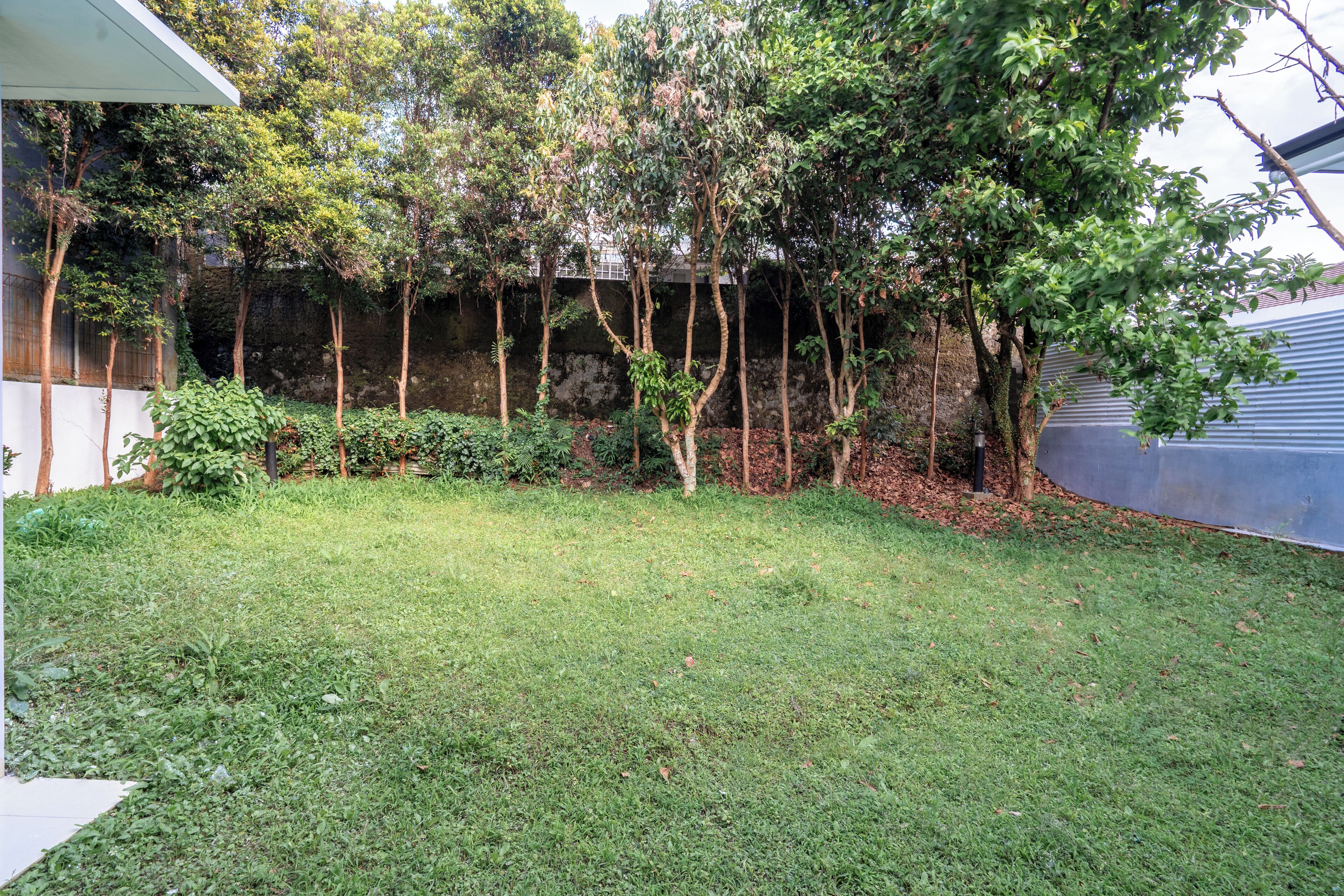 A backyard with a grassy lawn, trees, and a stone wall.