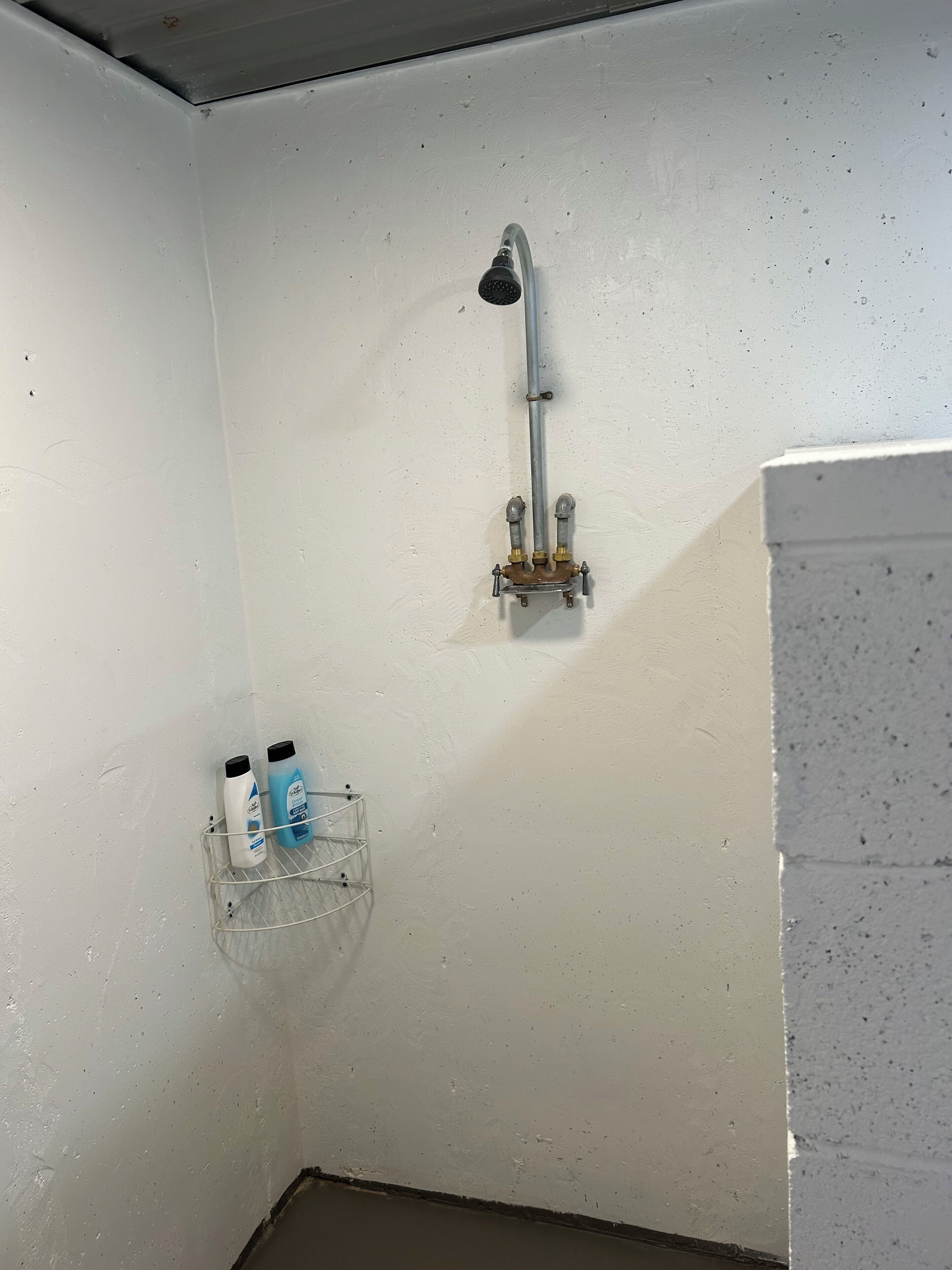 Shower, towels, toilet paper