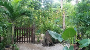 Property grounds - Casa Xochitl, surrounded by nature, ideal to rest, meditate or disconnect. (Solferono)