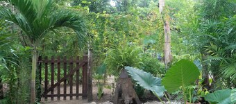 Casa Xochitl, surrounded by nature, ideal to rest, meditate or disconnect.