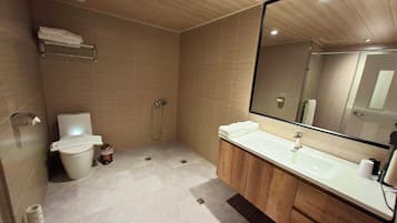 Ducha, cabezal de ducha tipo lluvia, secador de pelo, pantuflas