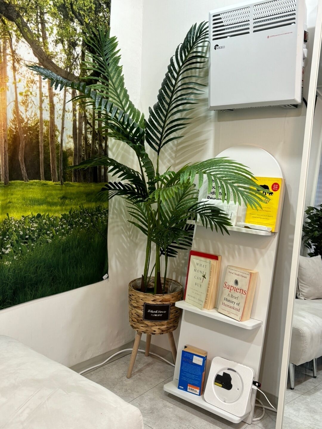 Smart TV, Netflix, películas con cargo, servicios de streaming