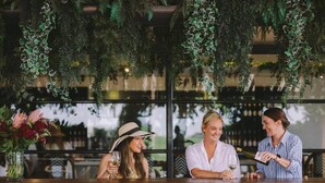 A bar area with hanging greenery, a wooden counter, and a glass of wine. - Bimbadgen Estate (Pokolbin)