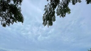 施設の敷地