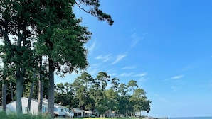 A beach with large rocks, a grassy area, and trees.