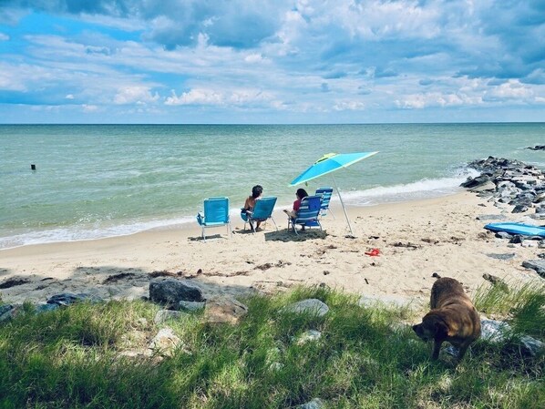 A la platja, gandules de platja i tovalloles de platja 