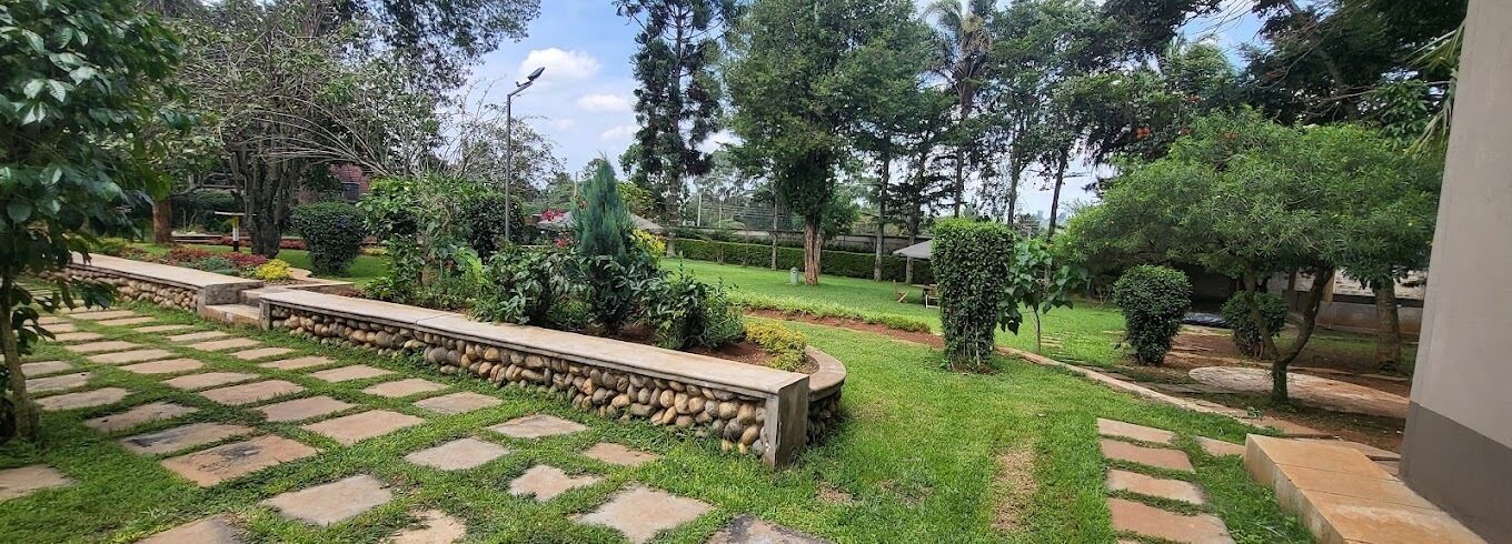 A garden with stone pathways, a bench, and various trees.