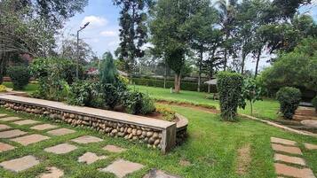A garden with stone pathways, a bench, and various trees.