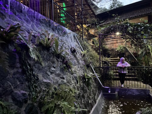 The Pinewood Lodge & Organic Farm